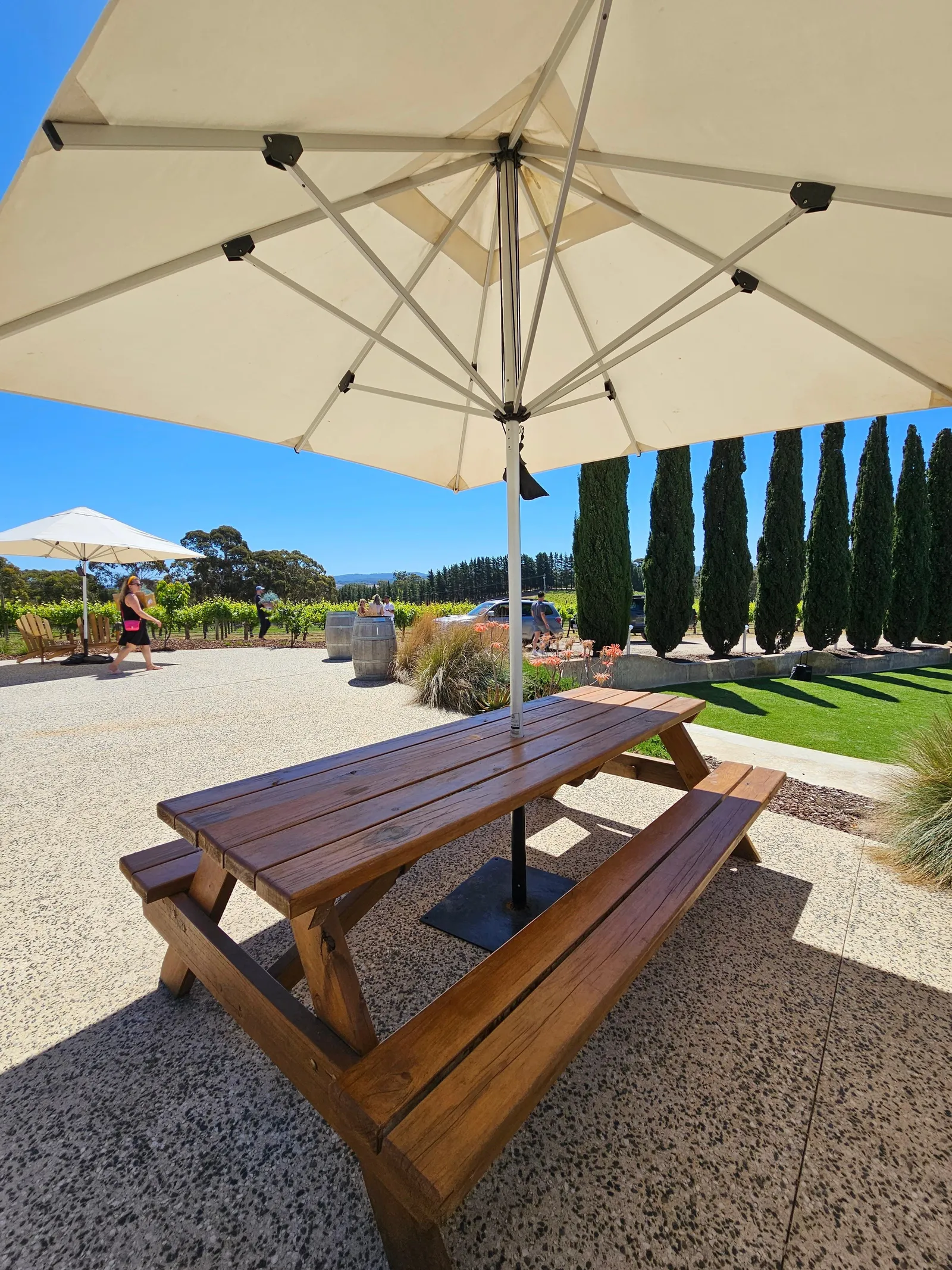Adelaide: Hahndorf & Hills Wine and/or Gin Tour