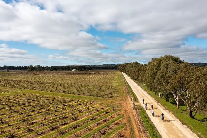 Aerial view of e-bike riders on a straight road between vineyards