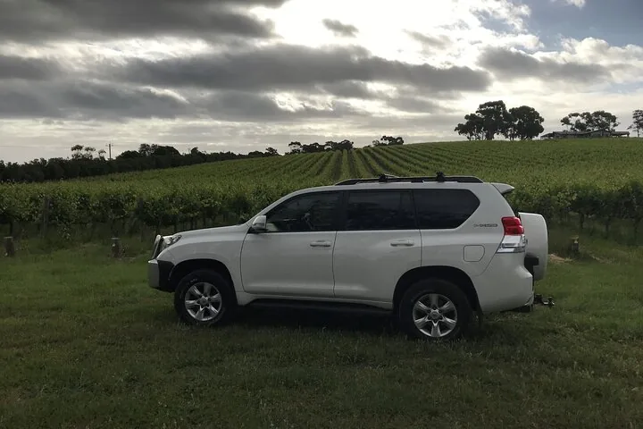 Side view of the tour vehicle beside a vineyard
