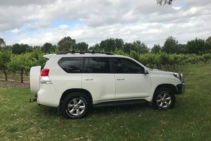 The Toyota Prado parked on grass next to the vines