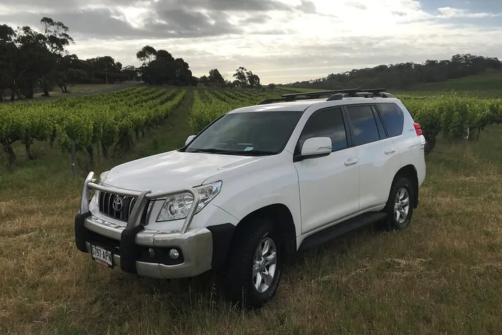 The private tour car between vine rows under a cloudy sky