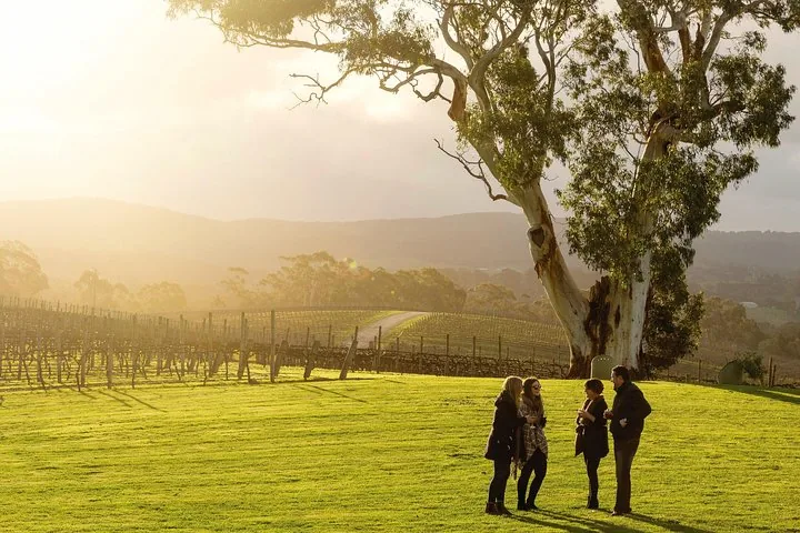 Adelaide Hills & Hahndorf Hop-On Hop-Off Wine Tour